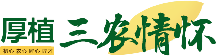 Lazy Loaded Image