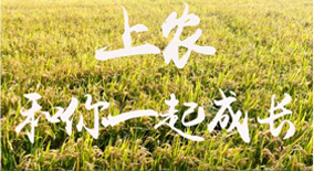 Lazy Loaded Image