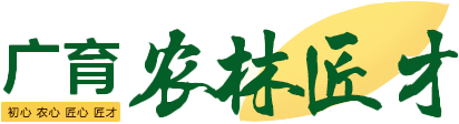 Lazy Loaded Image
