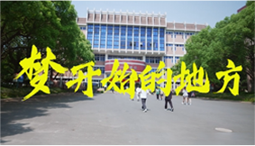 Lazy Loaded Image